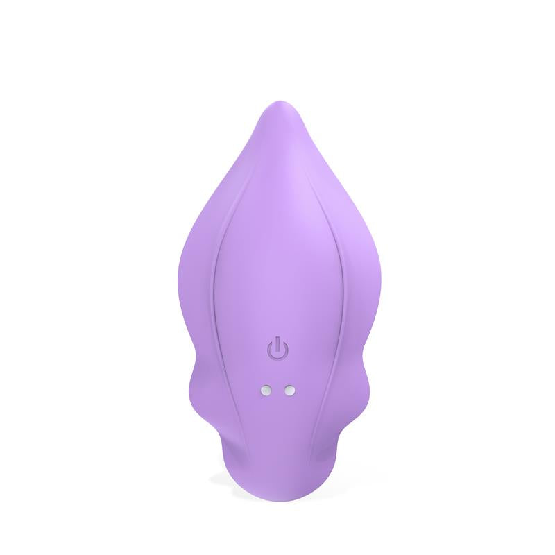 Donnyel Panty Vibrator with G Spot Ball and Remote Control