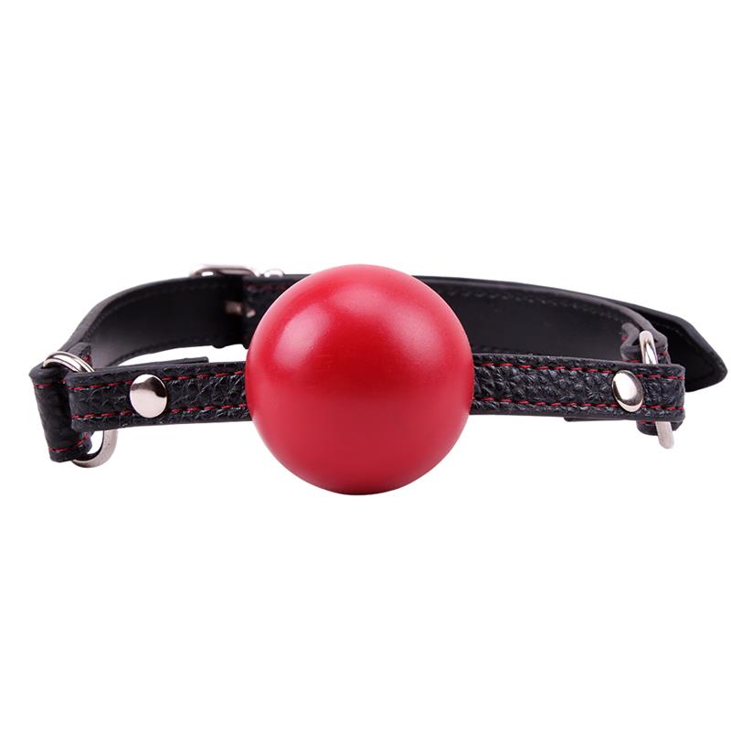 Red Ball Gag