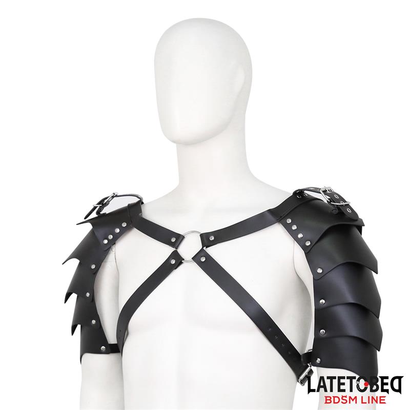 Shoulder Harness Adjustable