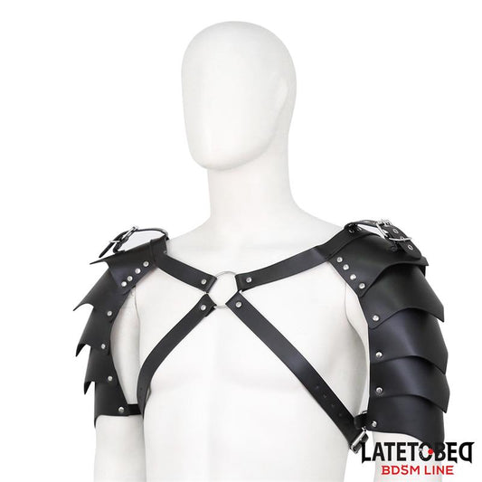 Shoulder Harness Adjustable