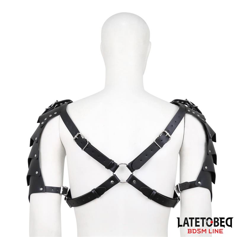 Shoulder Harness Adjustable