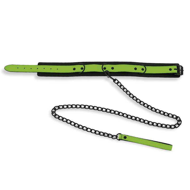 Glow in the Dark Collar with Leash