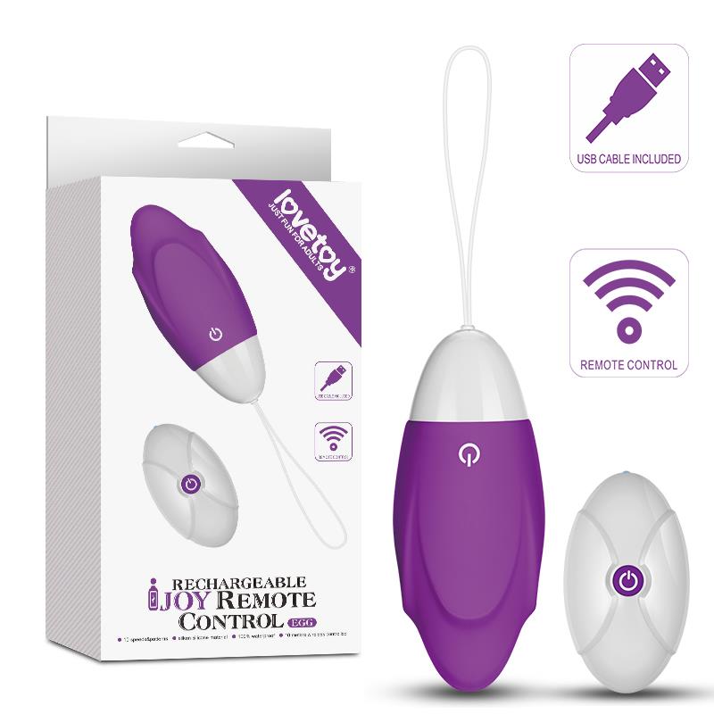 Vibrating Egg iJoy Remote Control USB Purple