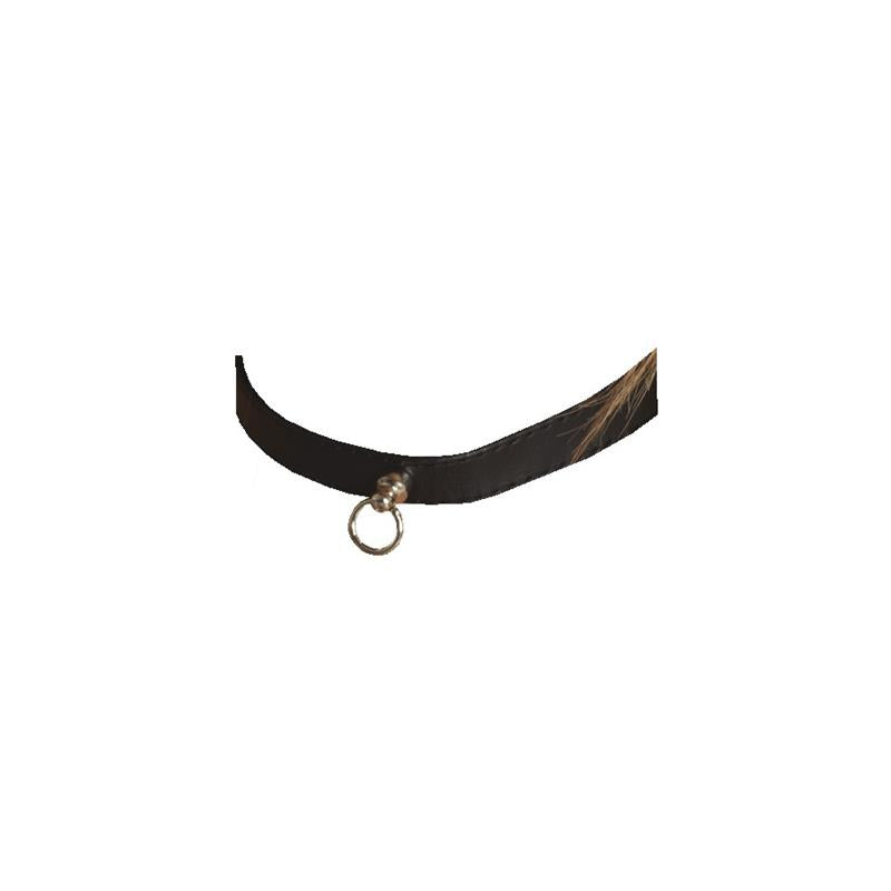 Collar Adjustable