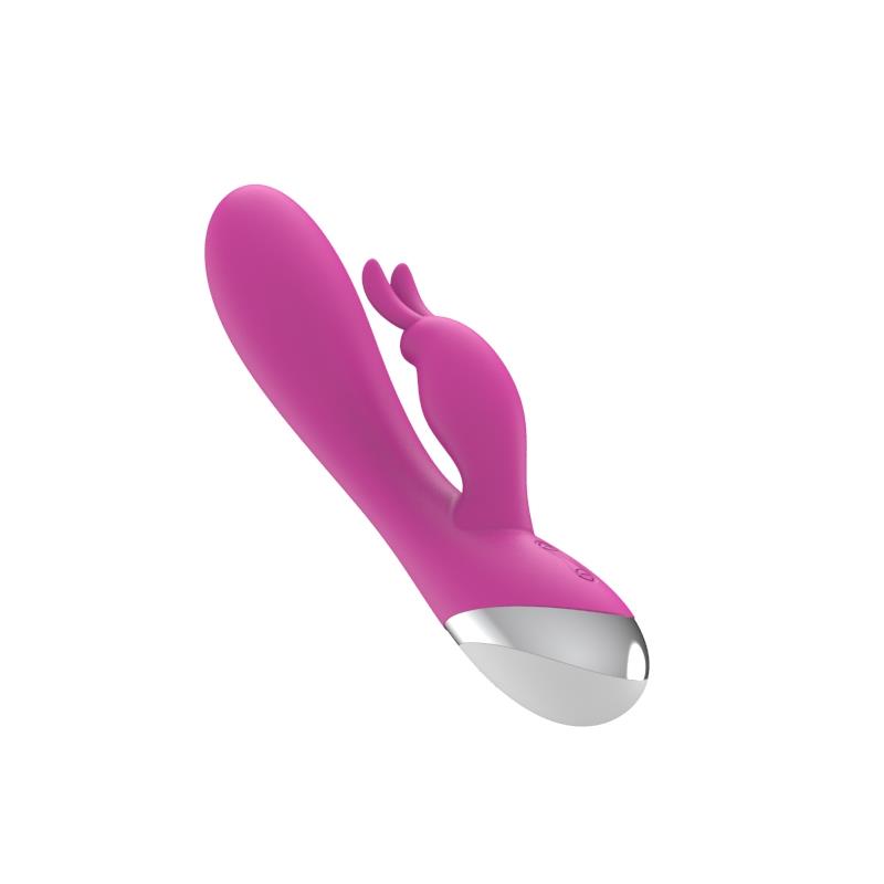 Dual Vibe with Rabbit USB Silicone Pink